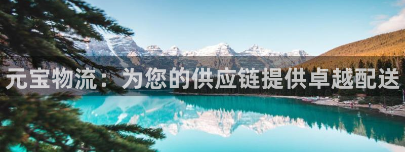 28圈.ccmapp：元宝物流：为您