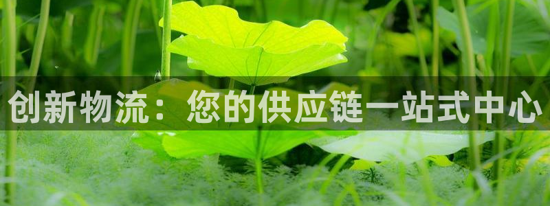 28圈在线预测官网