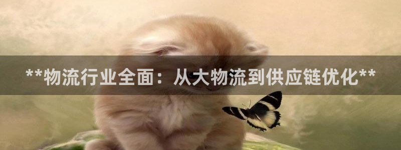 28圈游戏最新版：**物流行业全面：