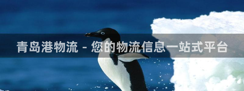 28圈昵称：青岛港物流 - 您的物流