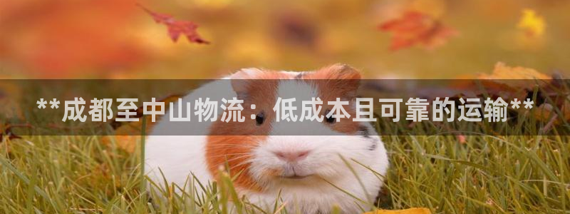 28圈反水：**成都至中山物流：低成