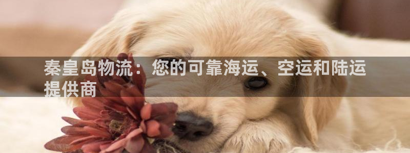 28圈链接：秦皇岛物流：您的可靠海运