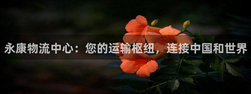 28圈游戏最新版：永康物流中心：您的
