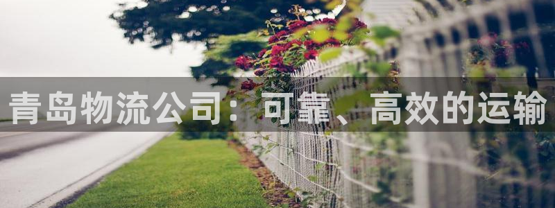 28圈.ccmpc正版：青岛物流公司