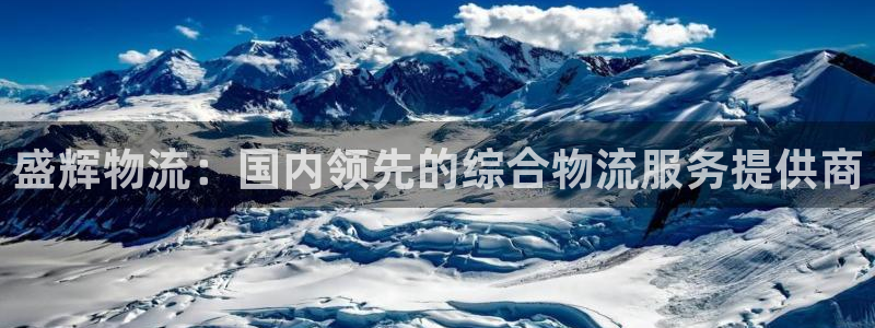 28圈为什么打不开：盛辉物流：国内领