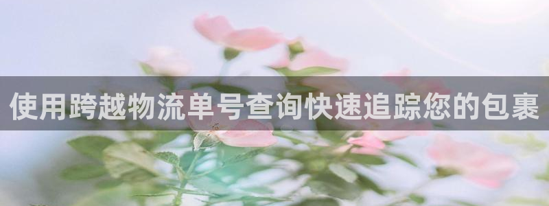 28圈加拿大真假怎么看：使用跨越物流