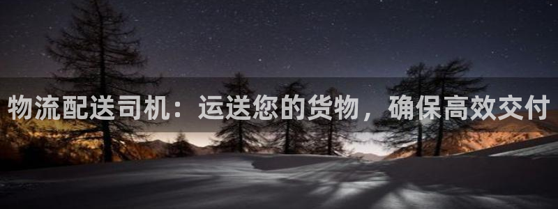 28圈预测：物流配送司机：运送您的货