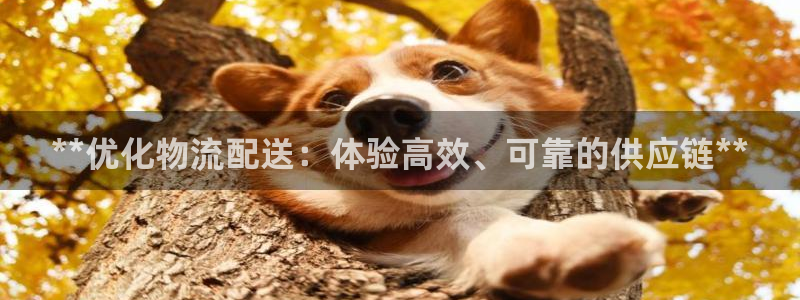 28圈是正规平台吗