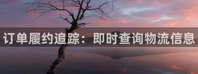 28圈登录流程：订单履约追踪：即时查