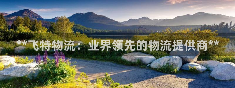 28圈吧：**飞特物流：业界领先的物