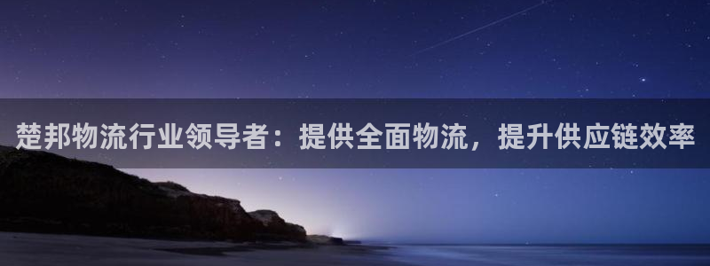 28圈平台注册：楚邦物流行业领导者：