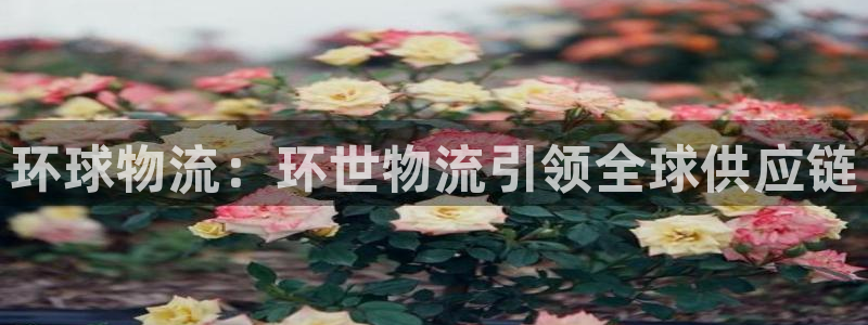 28圈旗下
