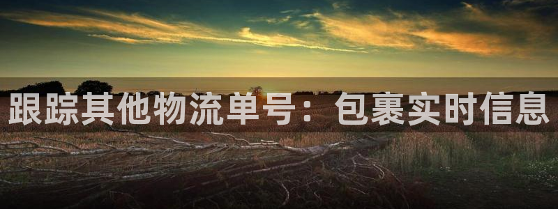 28圈麻将：跟踪其他物流单号：包裹实