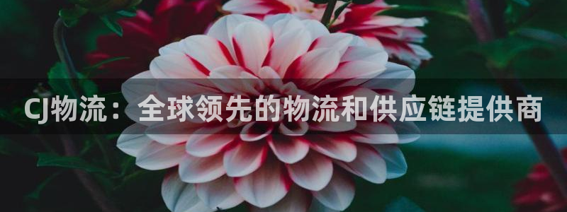 28圈现在狂杀：CJ物流：全球领先的