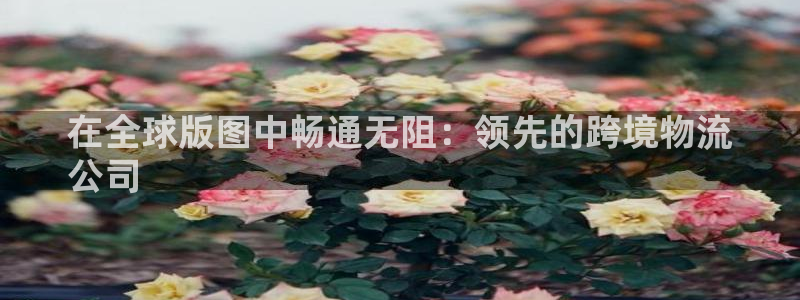 南宫28圈怎么注册：在全球版图中畅通