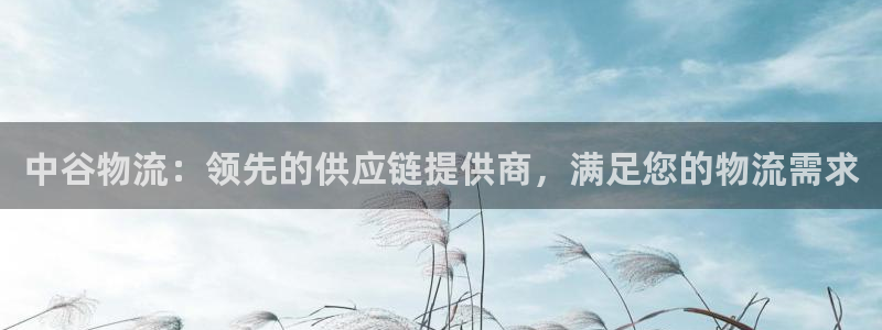 28圈游戏链接