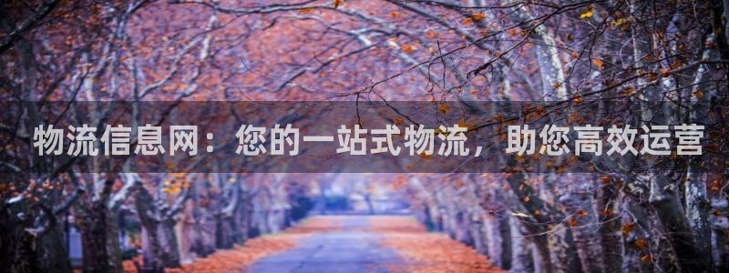 28圈自行车图片大全