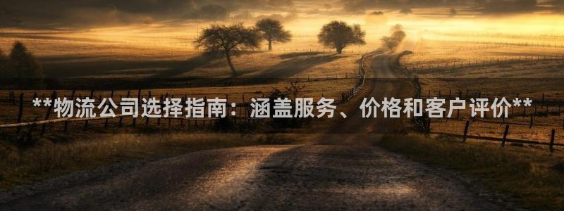 28圈注册流程：**物流公司选择指南