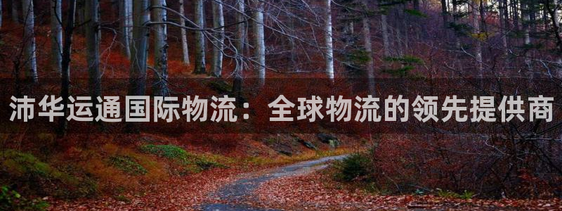28圈注册网站多少钱一个：沛华运通国