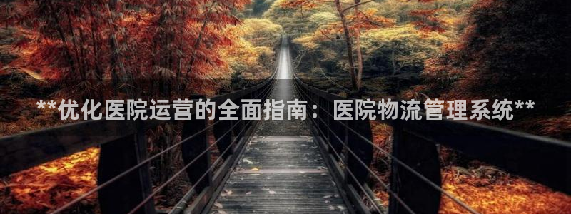 28圈吧