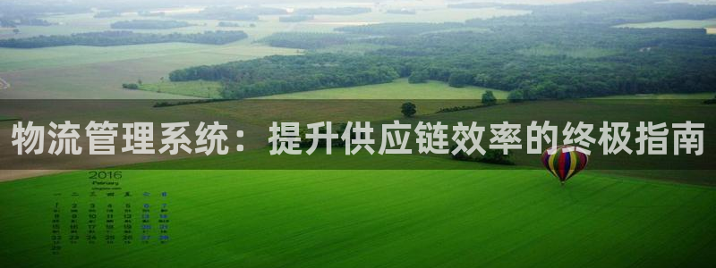 28圈正规吗?：物流管理系统：提升供