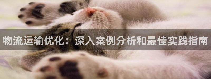 28圈绿骨头：物流运输优化：深入案例