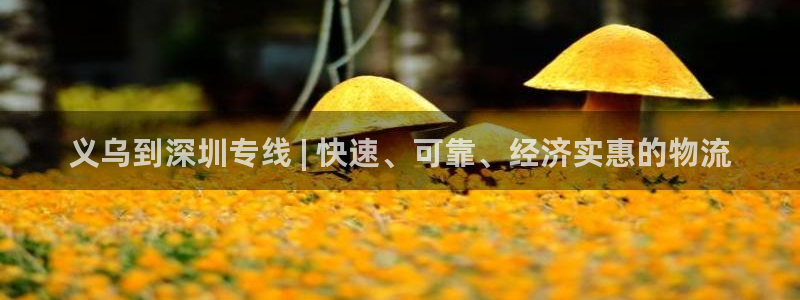 28圈ccm游戏