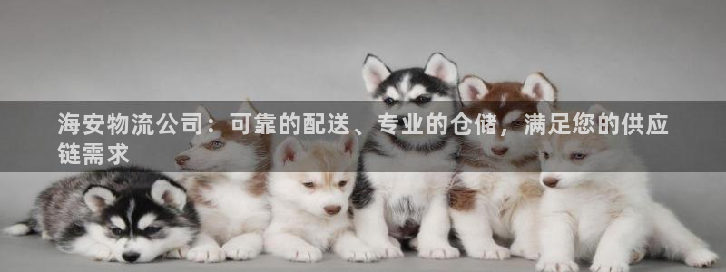 28圈注册网站：海安物流公司：可靠的