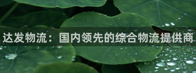 28圈注册条件：达发物流：国内领先的