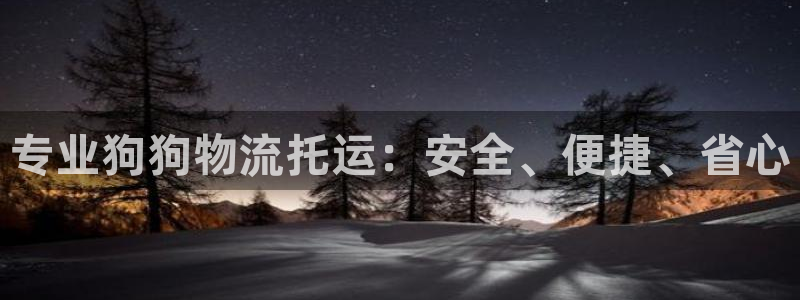 28圈网赌案件：专业狗狗物流托运：安