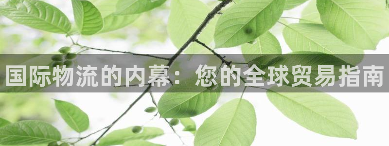 28圈加拿大pc预测