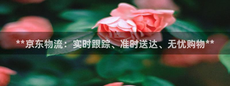 28圈在线预测官网