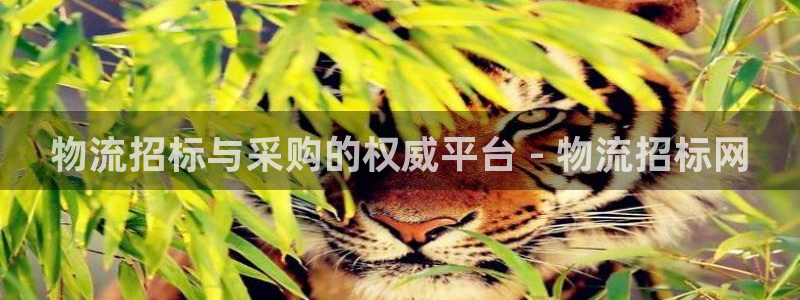 28圈链接多少：物流招标与采购的权威