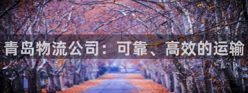 28圈游戏官网平台：青岛物流公司：可