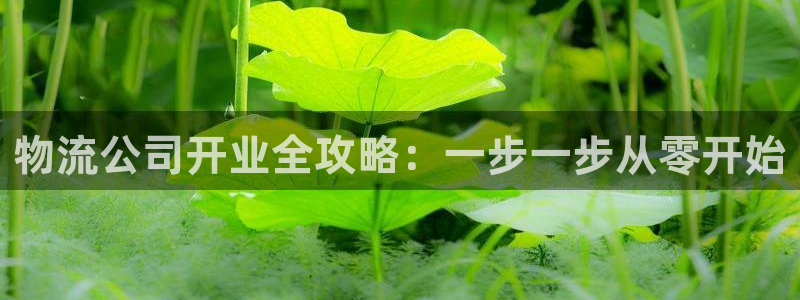 加拿大28圈是什么