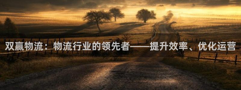 28圈图片：双赢物流：物流行业的领先