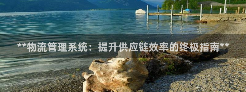 南宫28圈官网版：**物流管理系统：