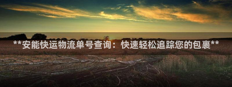28圈新用户怎么注册：**安能快运物