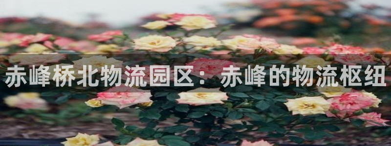 28圈软件总是闪退怎么回事：赤峰桥北