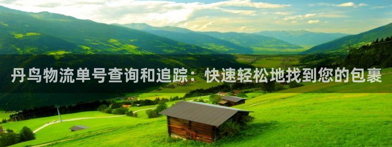 28圈充值不到账