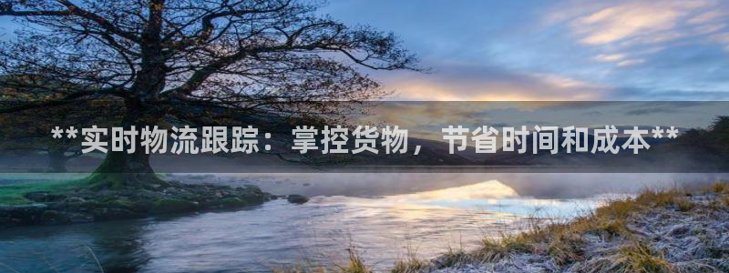 28圈平台注册：**实时物流跟踪：掌