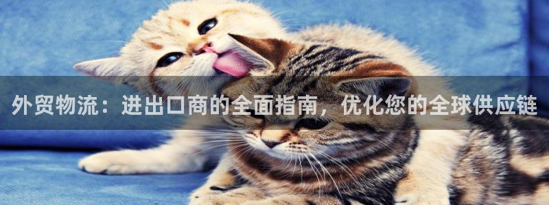 28圈机器人是什么软件