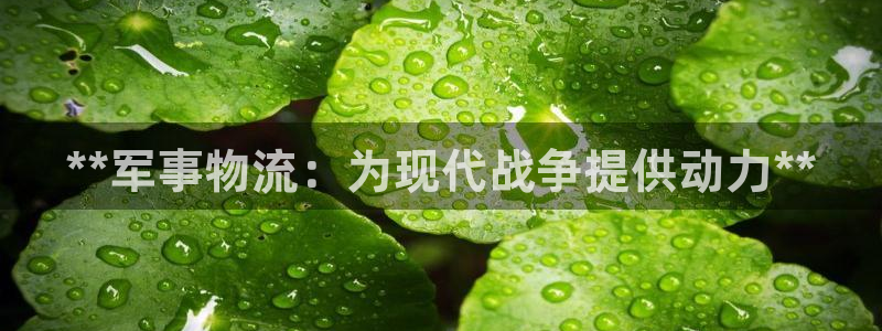 28圈加拿大开奖
