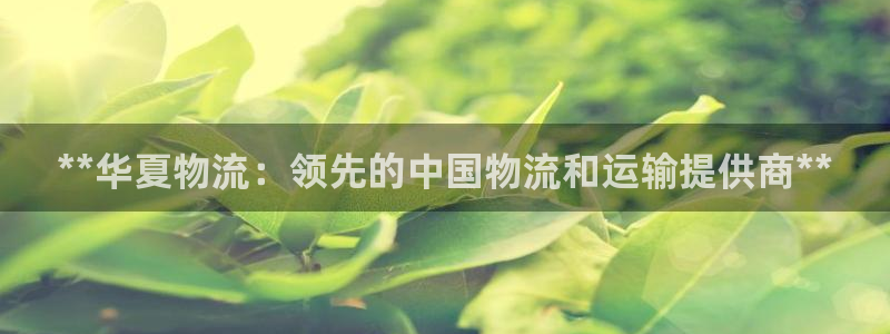 28圈为什么打不开
