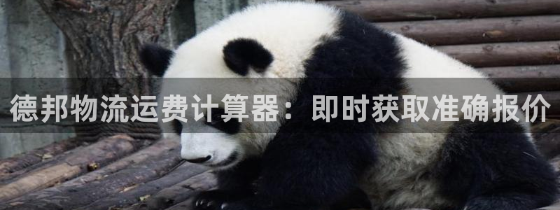 28圈怎么注册游戏名字：德邦物流运费