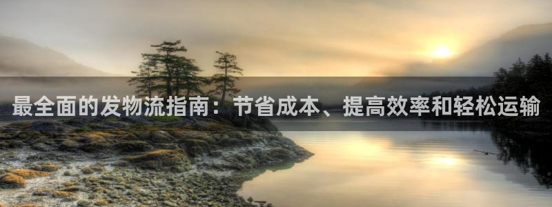 南宫28圈官网版：最全面的发物流指南