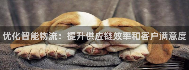 28圈机器人是什么软件：优化智能物流