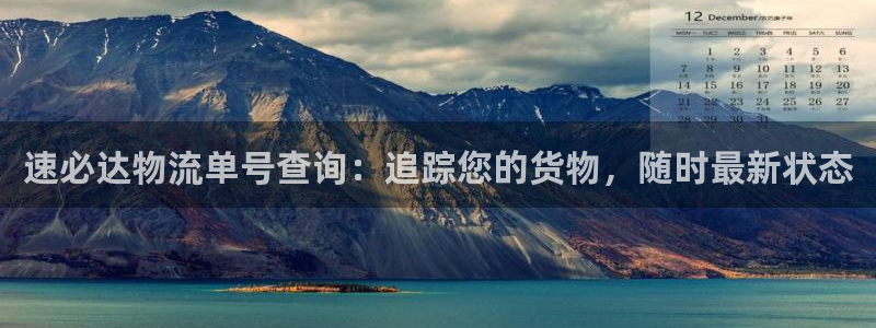 28圈如何看计划：速必达物流单号查询