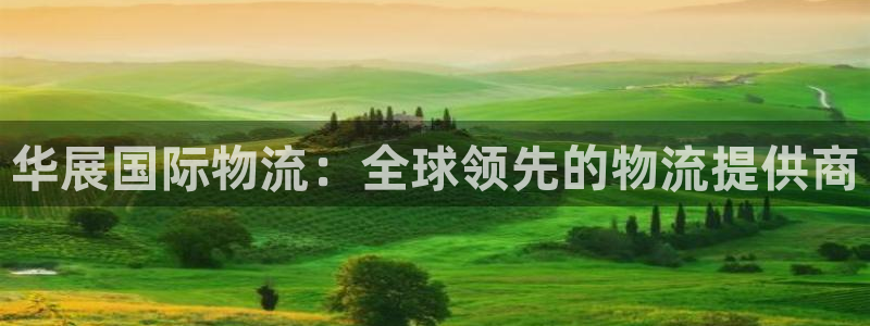 28圈登录：华展国际物流：全球领先的