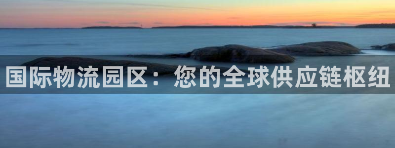 南宫28圈怎么注册：国际物流园区：您